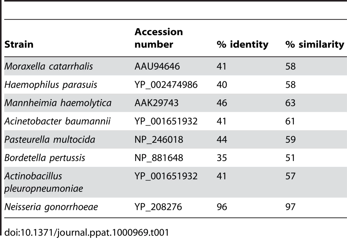 Identity and similarity of ZnuD with its homologs.