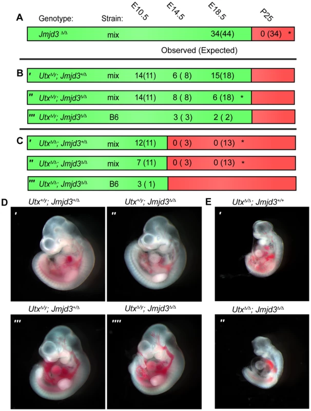 <i>Utx</i> and <i>Jmjd3</i> mutant phenotypes.