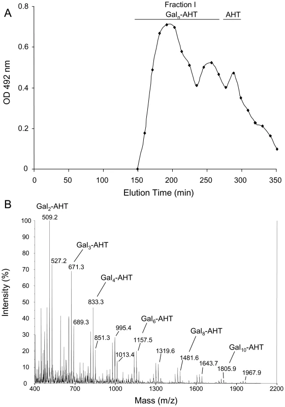 Analysis of de-N-deacetylated and nitrous deaminated galactosaminogalactan of <i>A. fumigatus</i>.