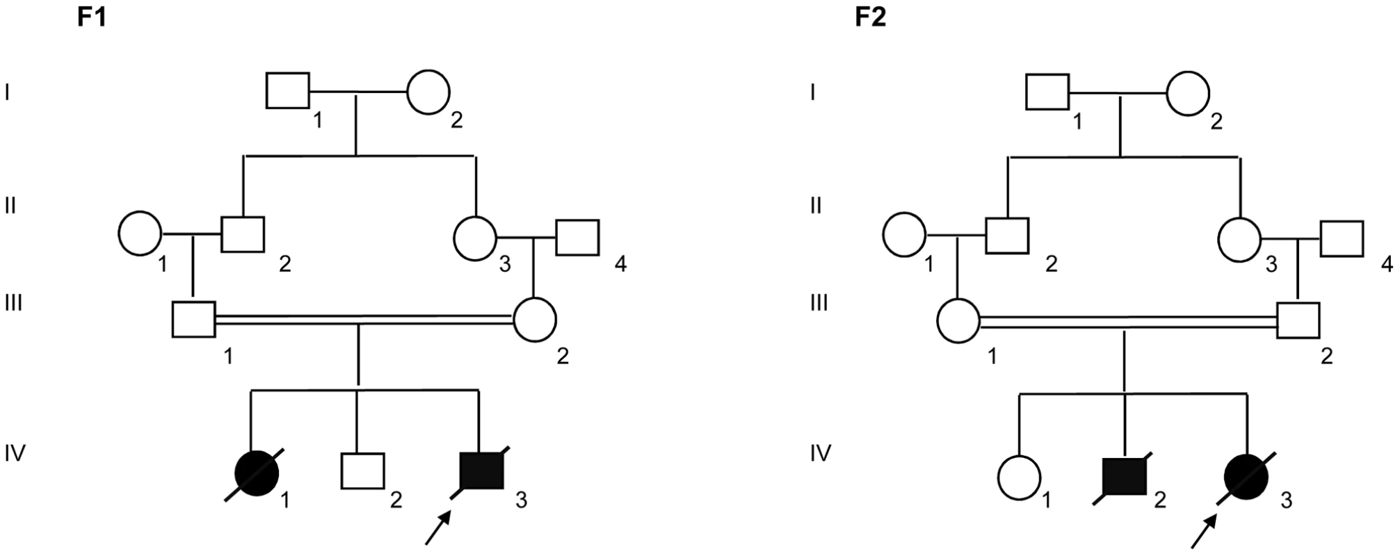 Pedigrees of the families F1 and F2 included in this study.