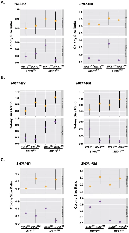 Complex genetic interactions underlie resistance to haloperidol.