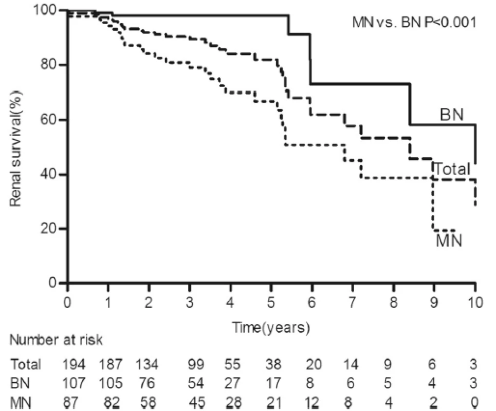 Kaplan-Meier renal survival curves for 194 patients with HN. The 5- and 10-year cumulative renal survival rates after biopsy were 84.5 % and 48.9 %, respectively, for 194 patients with HN. The 5- and 10-year cumulative renal survival rates after biopsy were 98.1 % and 58.3 %, respectively, for the BN group, and 66.8 % and 19.4 %, respectively, for the MN group (log-rank P < 0.001). HN, hypertensive nephrosclerosis; BN, benign nephrosclerosis; MN, malignant nephrosclerosis