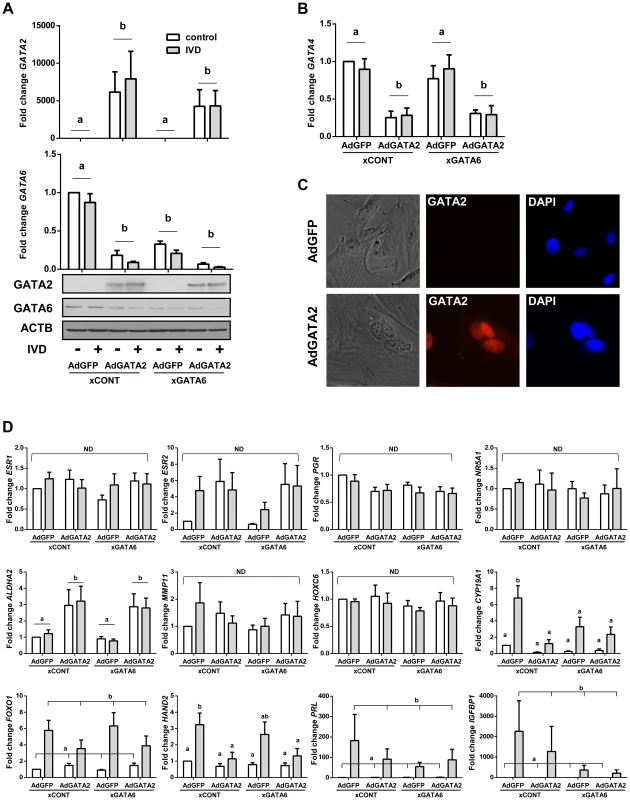 The effect of silencing <i>GATA6</i> and expressing GATA2 in OSIS.