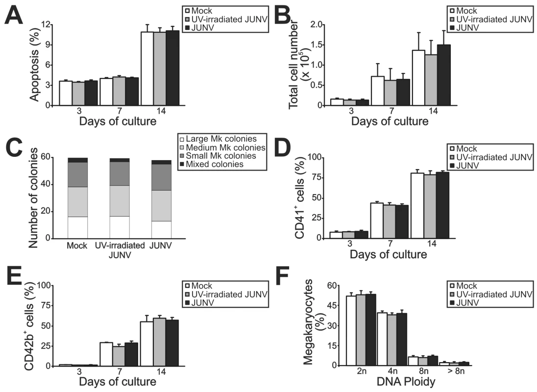 Influence of JUNV infection on cellular apoptosis, proliferation, clonogenic capacity and megakaryocyte development of TPO-stimulated CD34<sup>+</sup> cells.