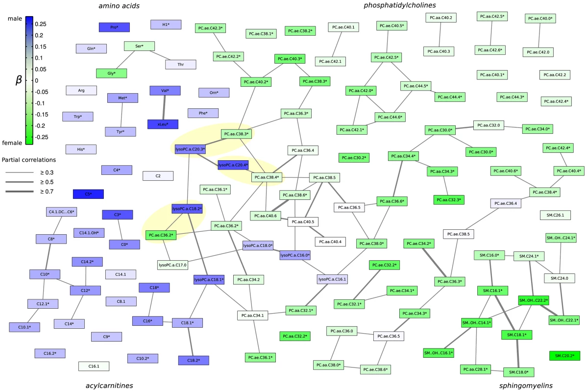Gaussian graphical model of all measured metabolites illustrating the correlation strength and the propagation of gender-specific effects through the underlying metabolic network.
