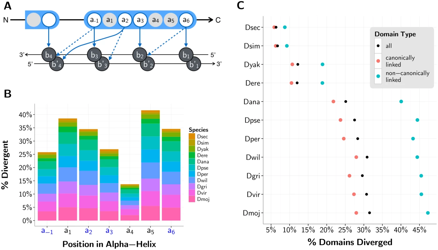 C2H2-ZF domain divergence with respect to <i>D. melanogaster</i> reference.
