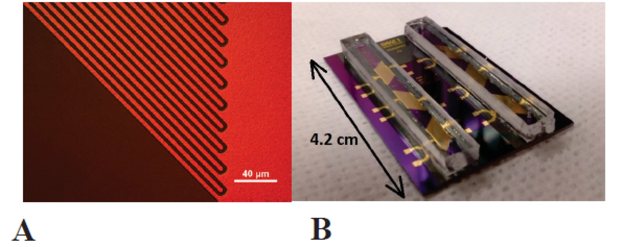 <b>A</b> Gold interdigital electrodes for electrical impedance spectroscopy. <b>B</b> Microfluidic chip with six sensor areas in two microfluidic channels made of SU-8 photoresist with polydimethylsiloxane cover lids.
