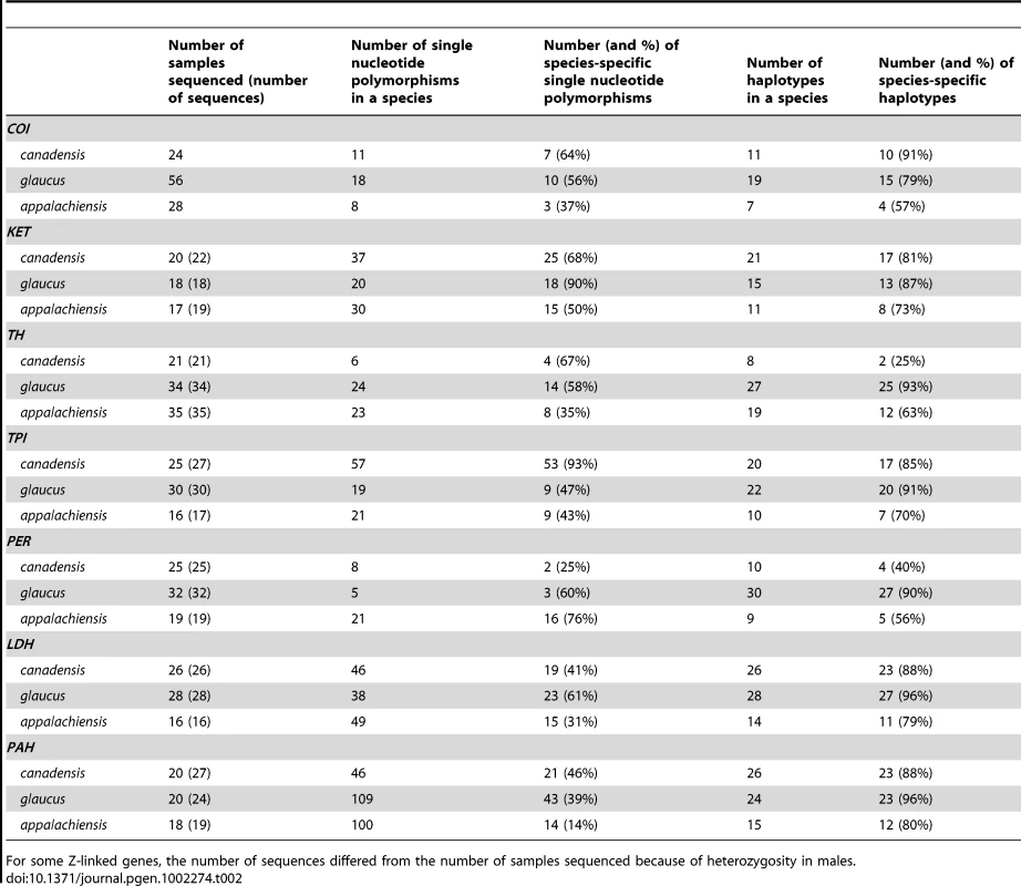 Distribution of single nucleotide polymorphisms and haplotype diversity among <i>glaucus</i>, <i>canadensis</i>, and <i>appalachiensis</i>.