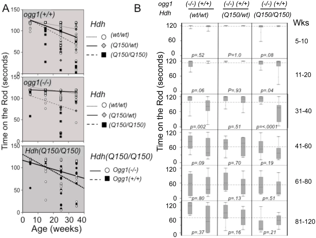 Suppression of somatic expansion delays motor decline in animals with similar inherited repeats.