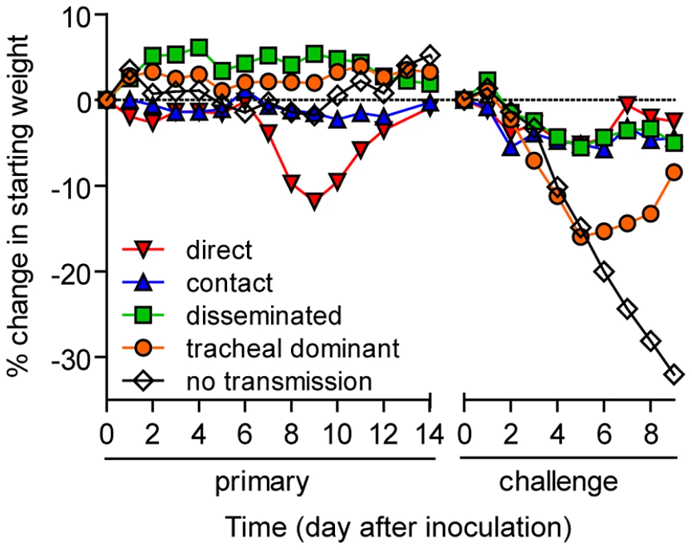 Mean percent weight change during the airborne transmission experiment with a 7.6-cm separation.