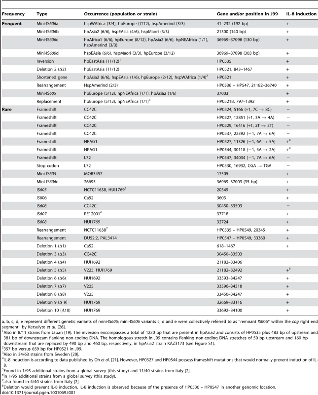 Genetic macro- and minidiversity variants (gene order and orientation, gene identity, insertion elements) within the <i>H. pylori cag</i>PAI with regard to population assignments.