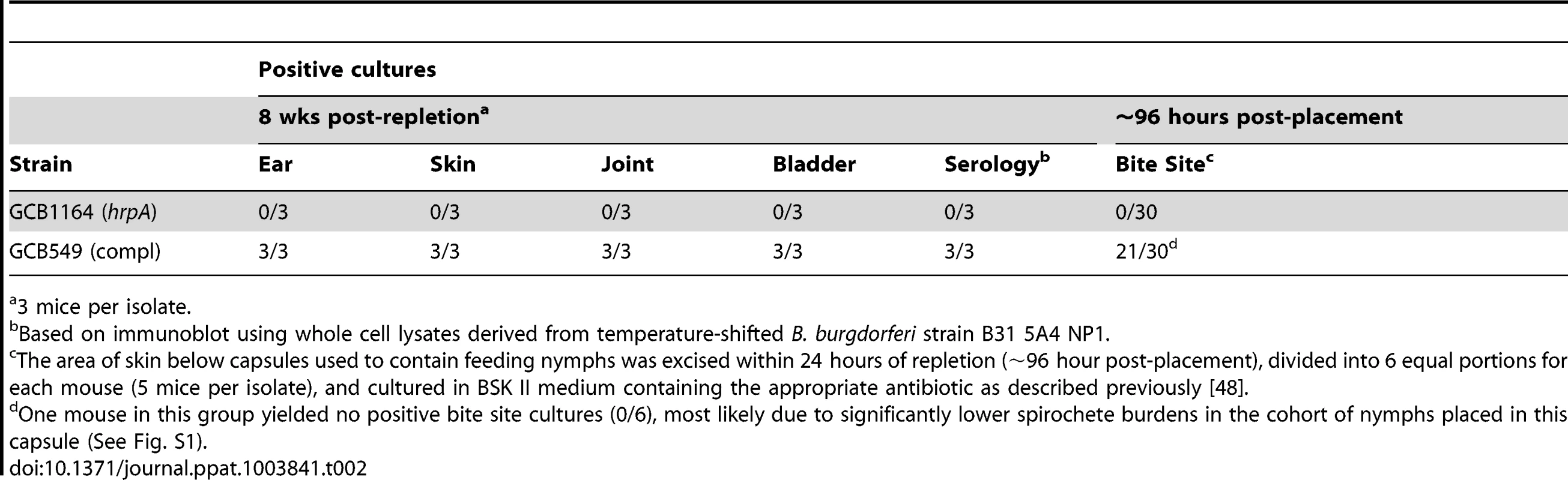 Nymphs infected with HrpA-deficient <i>B. burgdorferi</i> are unable to transmit infection.