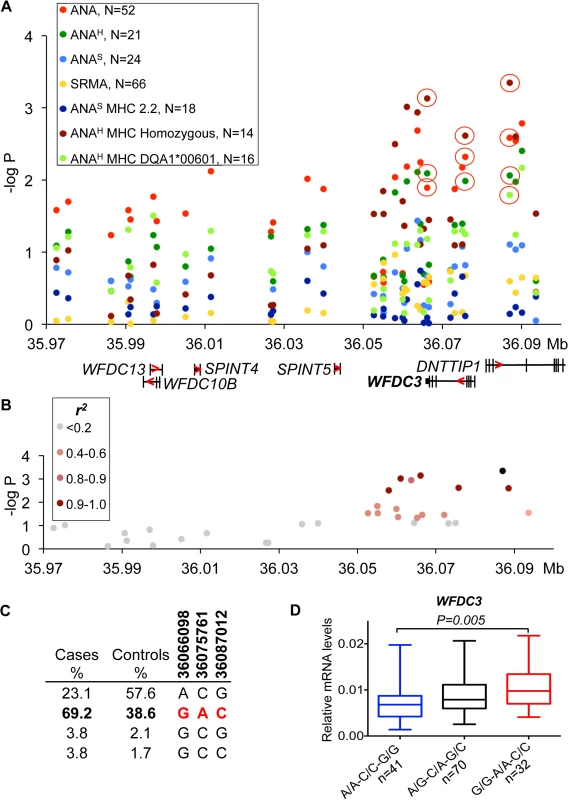 Genetic and gene expression analyses for chromosome 24 locus.