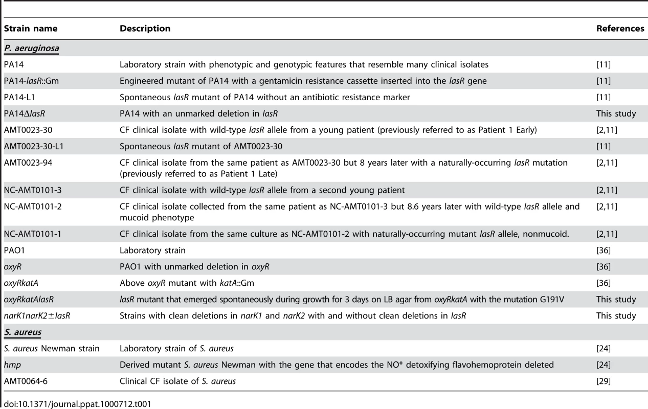 List of strains used in the described experiments.