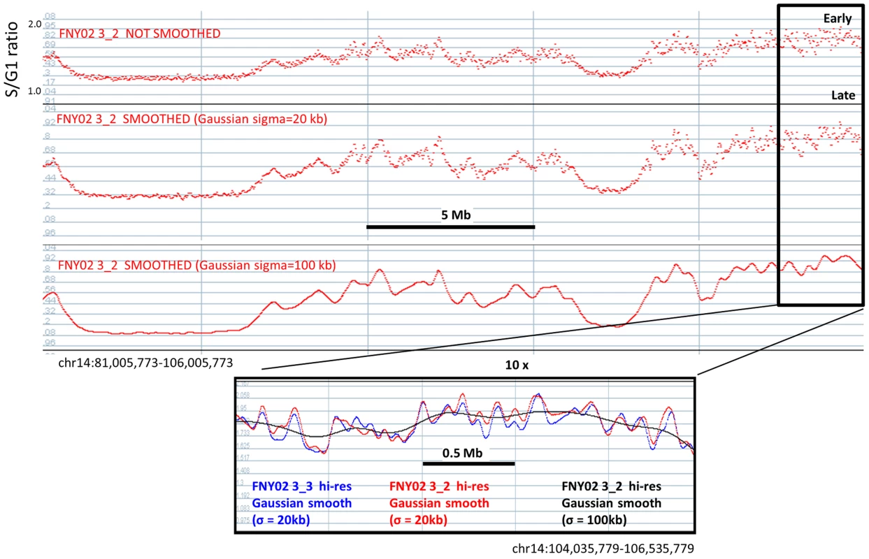 Hi-resolution TimEX-seq analysis reveals the fine structure of the timing domains.