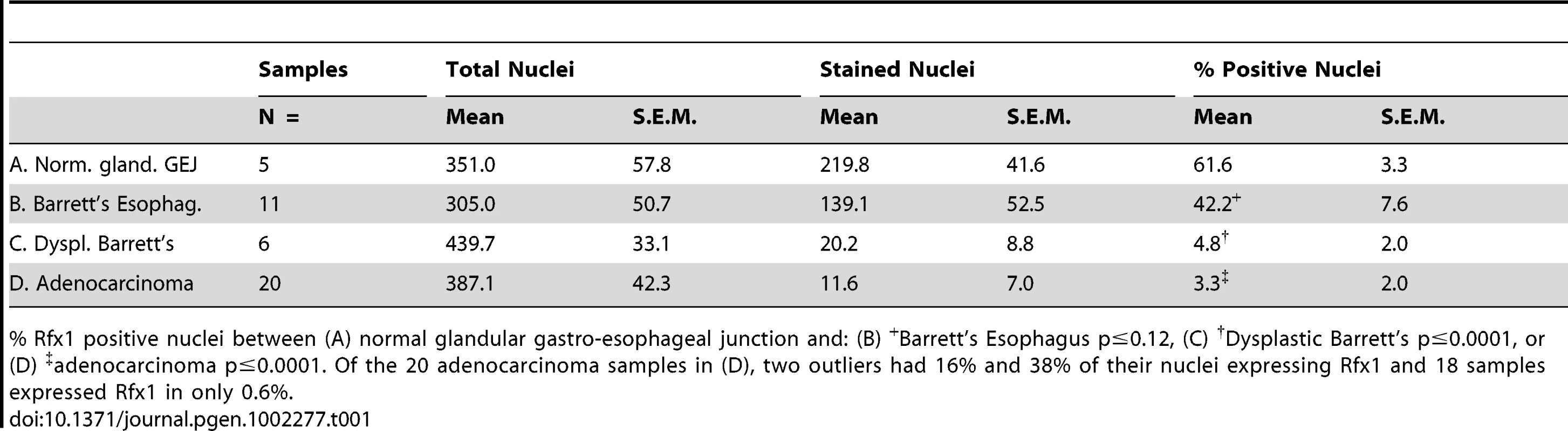 Summary of Rfx1 immunohistochemistry results.