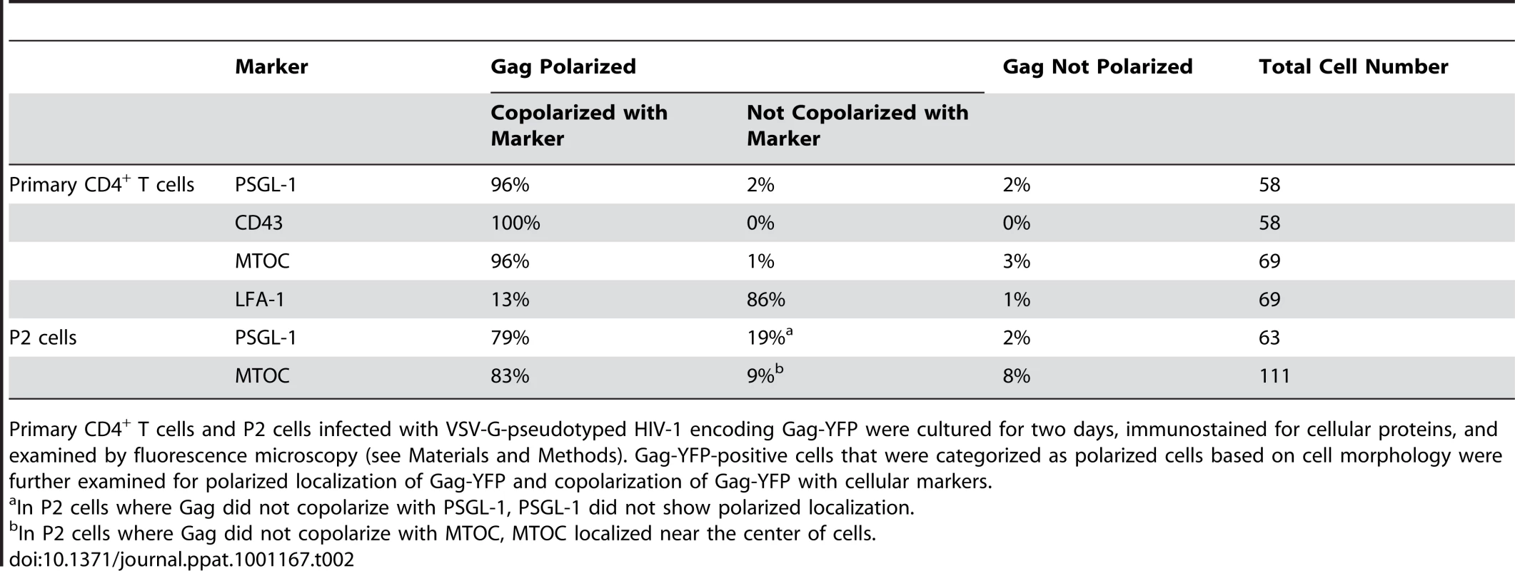 Copolarization of Gag with Cellular Markers.