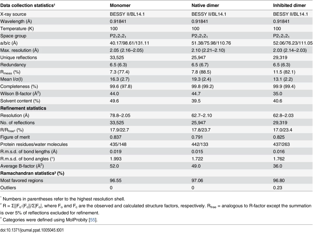 Summary of data collection and refinement statistics.