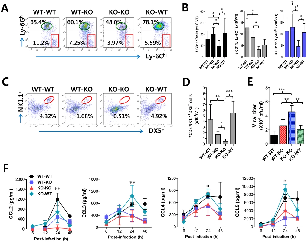 CCL2 produced from infiltrated leukocytes derived from HSC lineage plays a dominant role in mucosal recruitment of CD11b<sup>+</sup>Ly-6C<sup>hi</sup> monocytes.