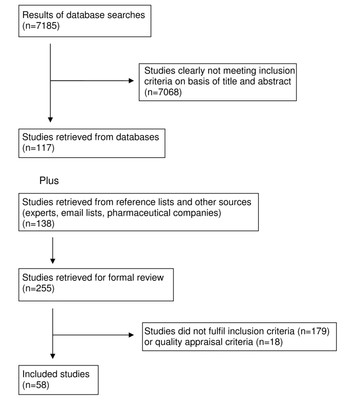 Study flow diagram.