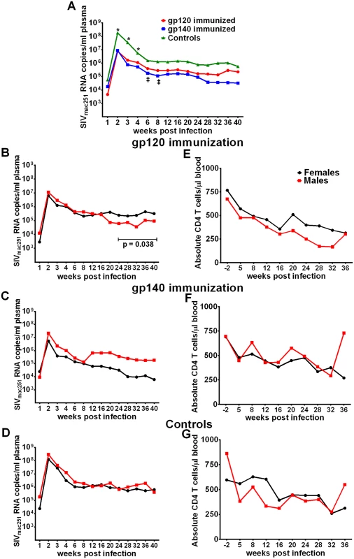 Viral loads post-infection by immunization group and sex.