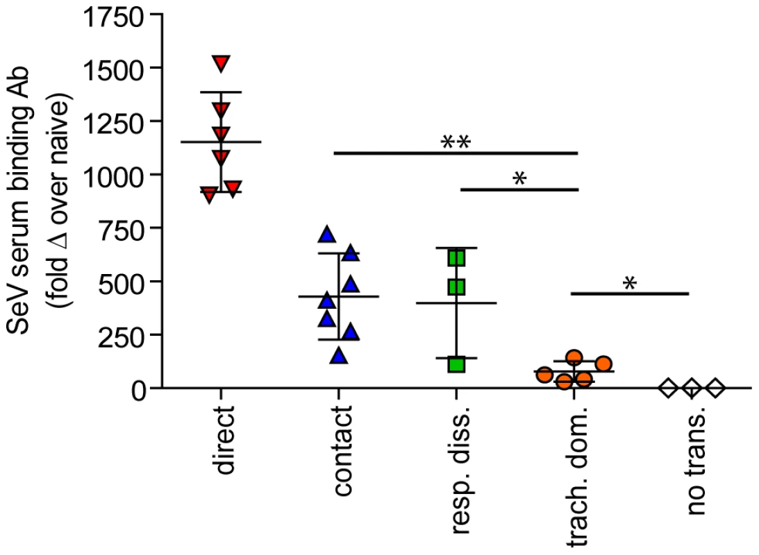 Sendai virus-specific binding antibody titers. Sera were collected on day 30 of the experiment.