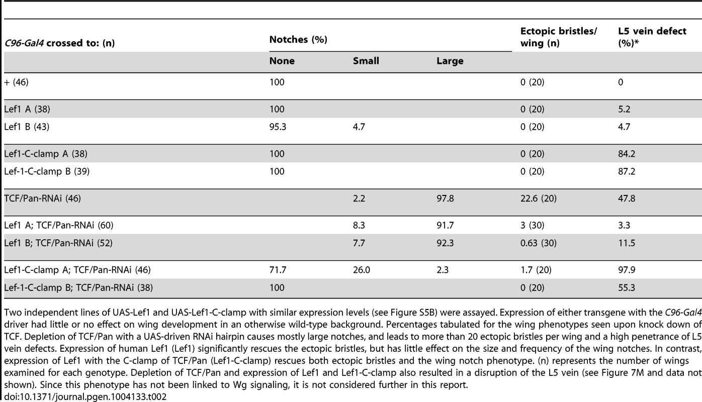 The C-clamp is required for Wg activation but not basal repression in a TCF/Pan rescue assay.