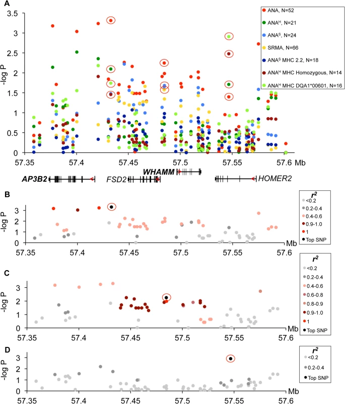 Genetic analysis of chromosome 3 locus.