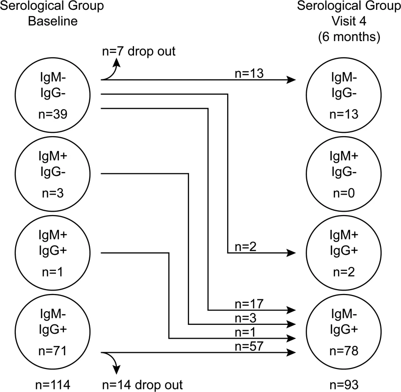 EBV VCA serological status of Gambian children.