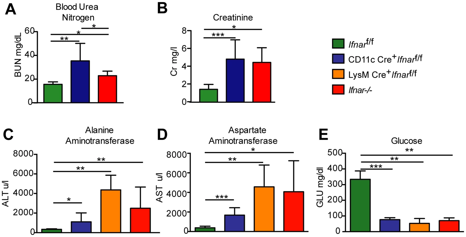 Blood chemistry reveals hepatic and renal injury in mice lacking Ifnar expression on myeloid cells.