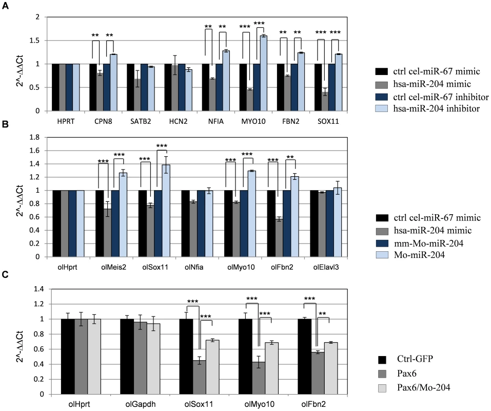 <i>miR-204</i> affects expression of multiple genes and mediates Pax6 suppression of gene expression.