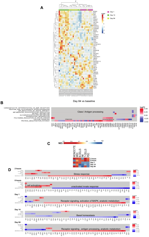 Changes in gene expression over the duration of study with most early changes occurring in T-cells.