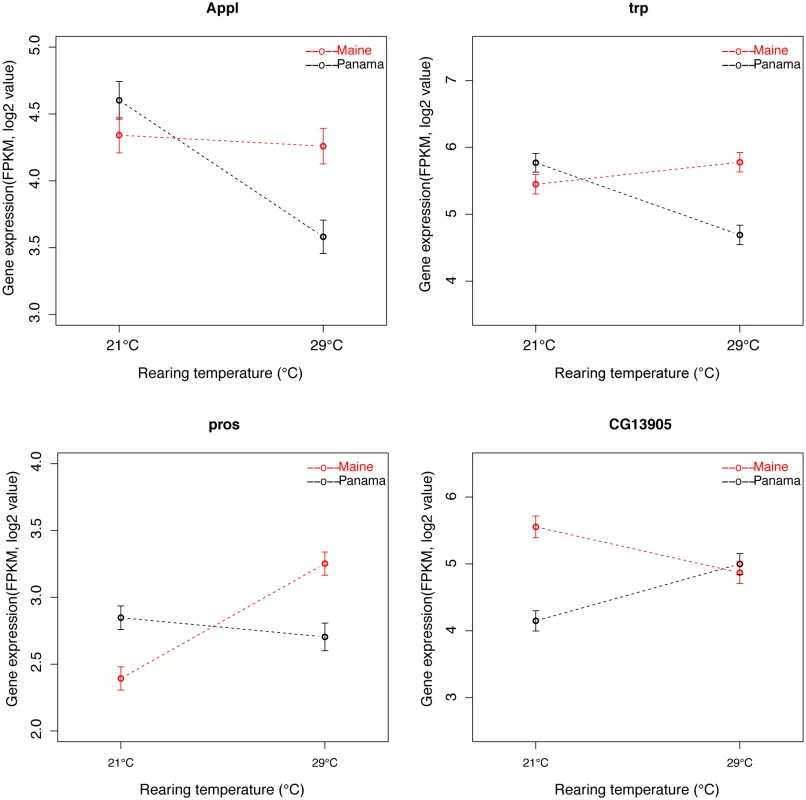 Example of <i>D</i>. <i>melanogaster</i> genes exhibiting population-by-temperature interaction.