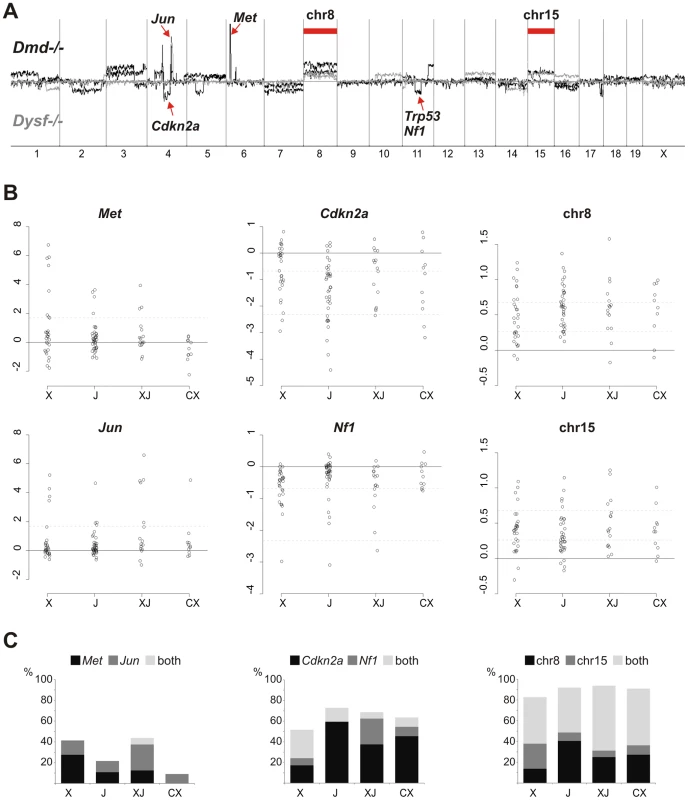 Common non-random genetic lesions in MD-mouse sarcomas.