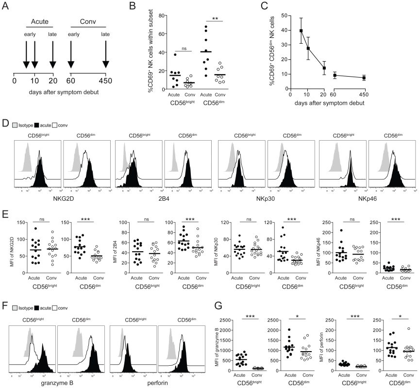 CD56<sup>dim</sup> NK cells are highly activated in HFRS patients.