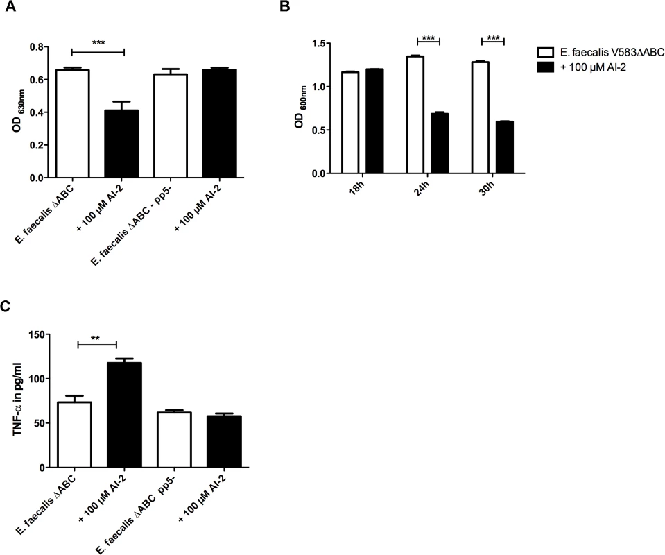 Phenotypic characterization of <i>E. faecalis</i> V583ΔABC<i>pp5-</i> in the absence or presence of 100 μM AI-2:(A) Biofim assay comparing attachment in the <i>pp5-</i> muntant in comparison to the wild type (B) Bioflim assay determining the influence of AI-2 on statically grown biofilms (C) TNF-α release by RAW 264.7 macrophages after stimulating cells with AI-2 treated or untreated bacteria was measured to study the influence of prophage 5 on virulence.