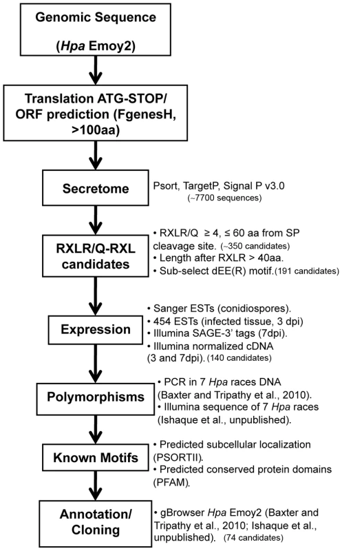 Bioinformatic pipeline used for the identification of <i>Hyaloperonospora arabidopsidis</i> (<i>Hpa</i>) HaRxLs.