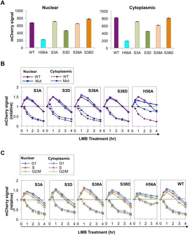 Phosphorylation and catalytic activity regulate AID abundance and nuclear stability.