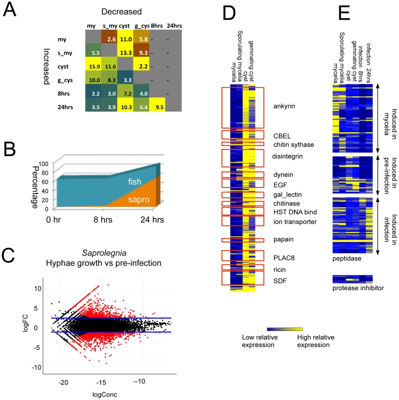 Differentially expressed genes detected by RNA-Seq.
