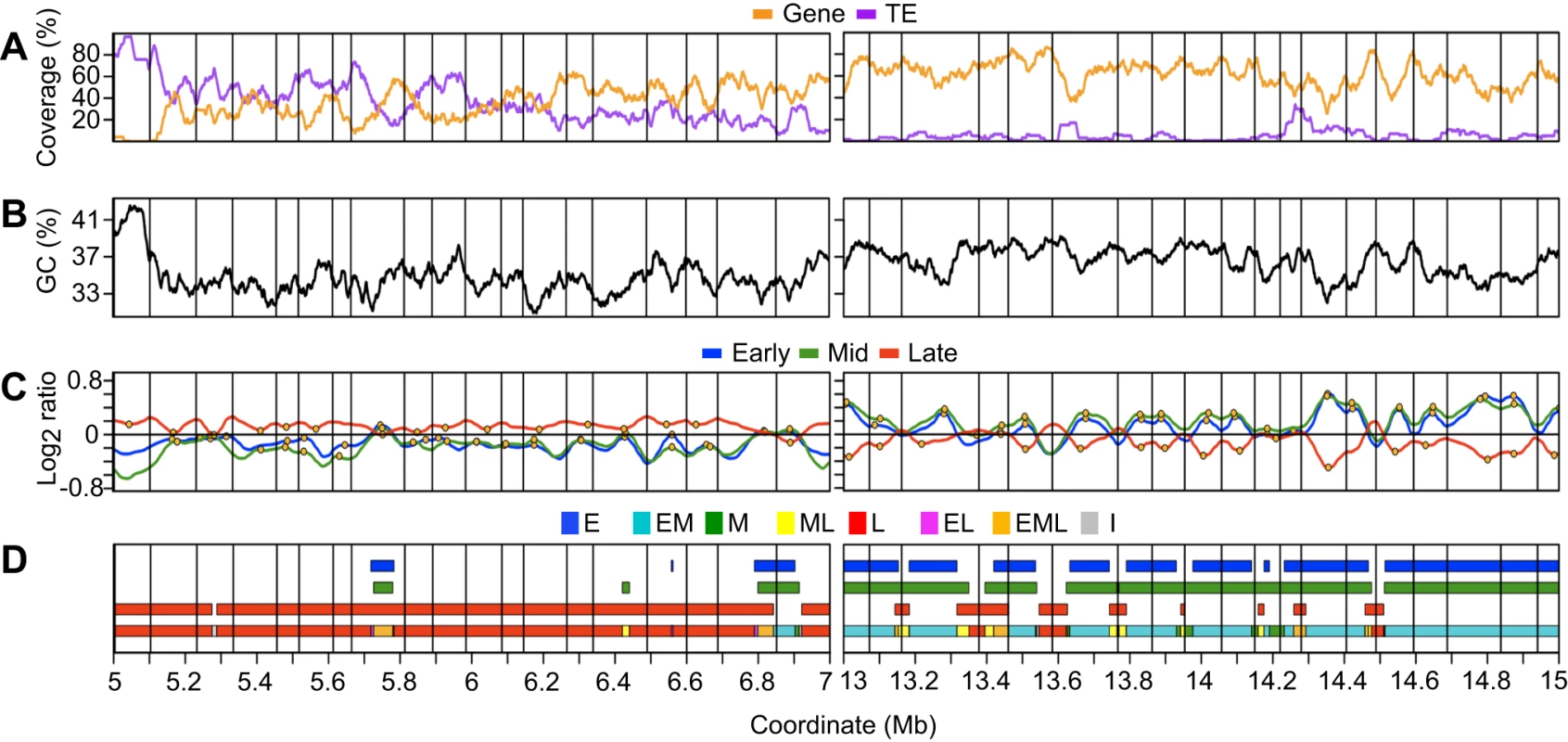 Analysis of replication profiles for segments of coordinate replication time and identification of initiation and termination zones.