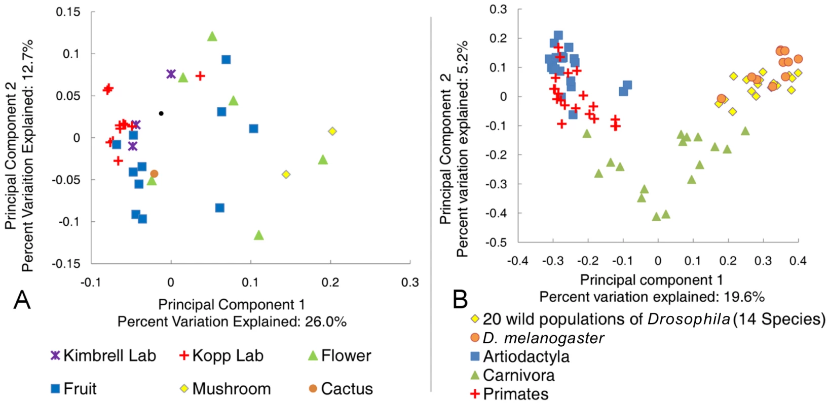 Principle component analysis of the natural <i>Drosophila</i> microbiome.