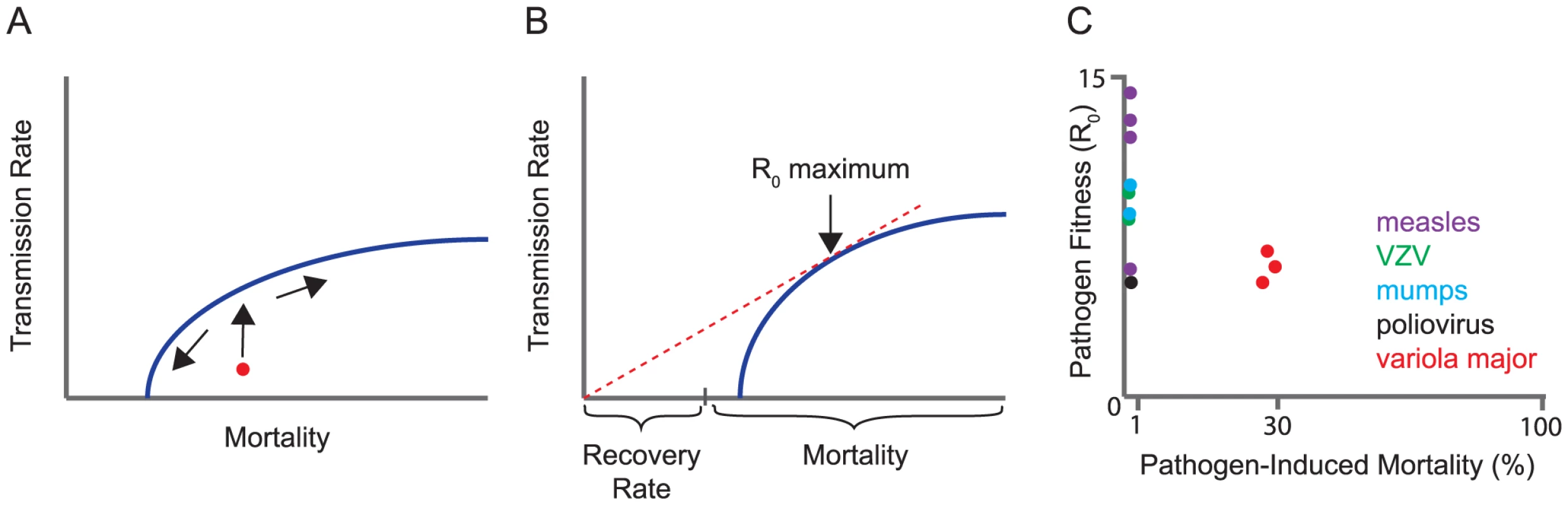 Trade-off models for virulence evolution.