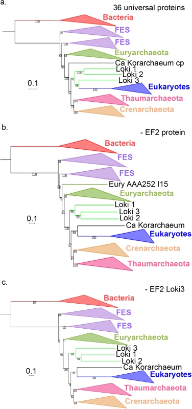 Impact of the EF2 protein on the original concatenated alignment.