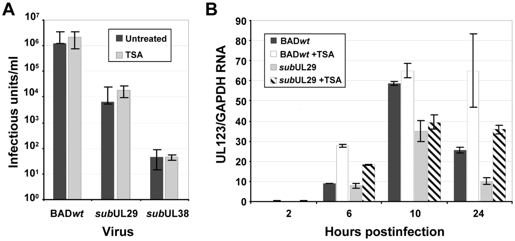 Inhibition of deacetylase activity fails to rescue the replication of pUL29/28 or pUL38-deficient viruses.