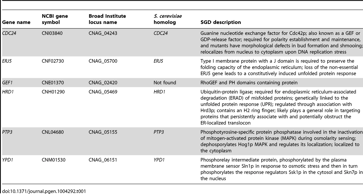 List of genes that suppressed <i>cdc24Δ</i> hypoxic phenotype.