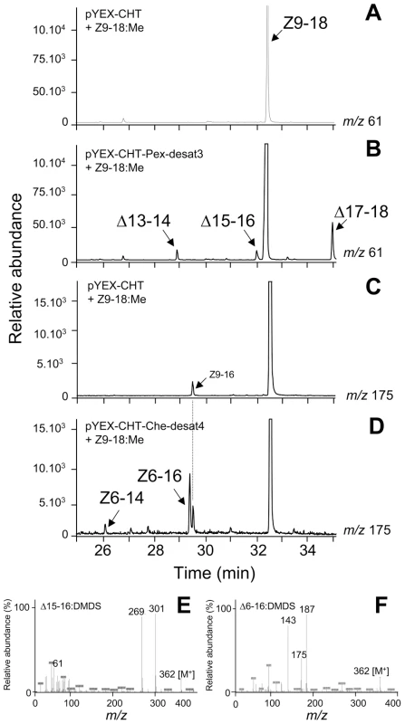 GC-MS analyses.