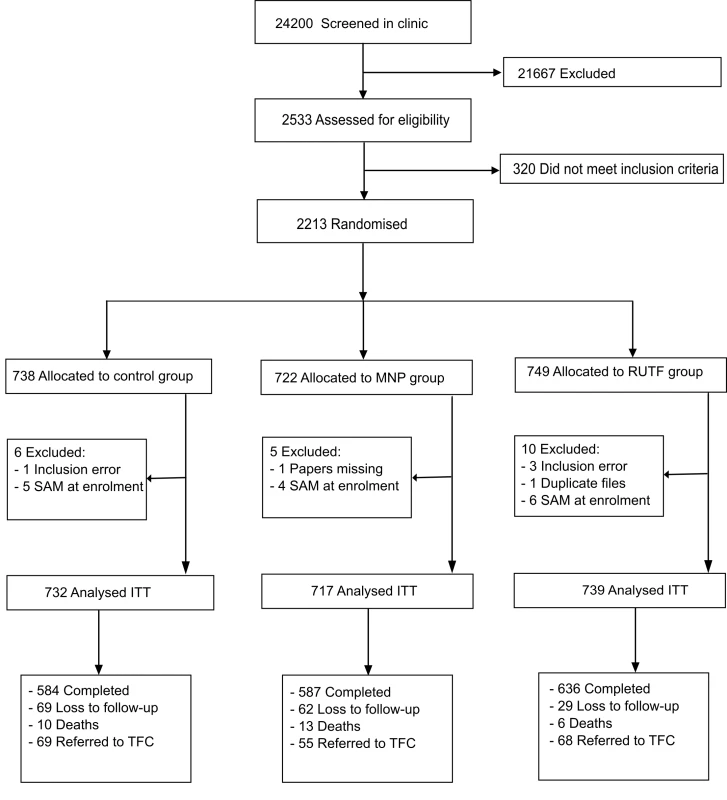 Flow diagram of participants of the supplementation study in Goronyo.