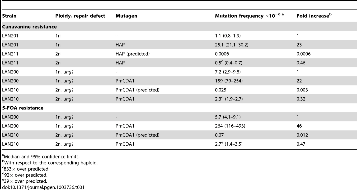 Both HAP and PmCDA1 induce significantly more mutants than expected in diploid strains.