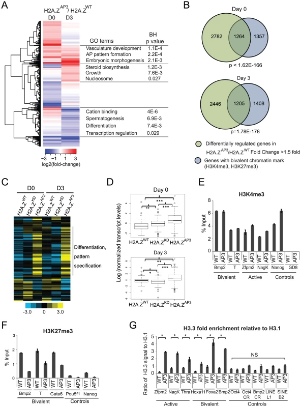H2A.Z acidic patch is necessary for regulation of bivalent genes during ESC differentiation.
