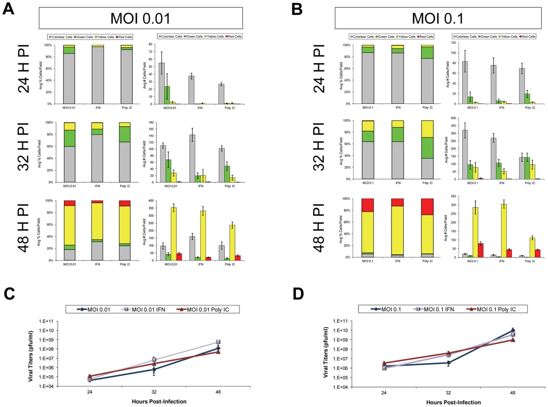 IFN-β or poly IC treatment restricted the progression of Timer-CVB3 infection in HeLa cells at low multiplicities of infection.
